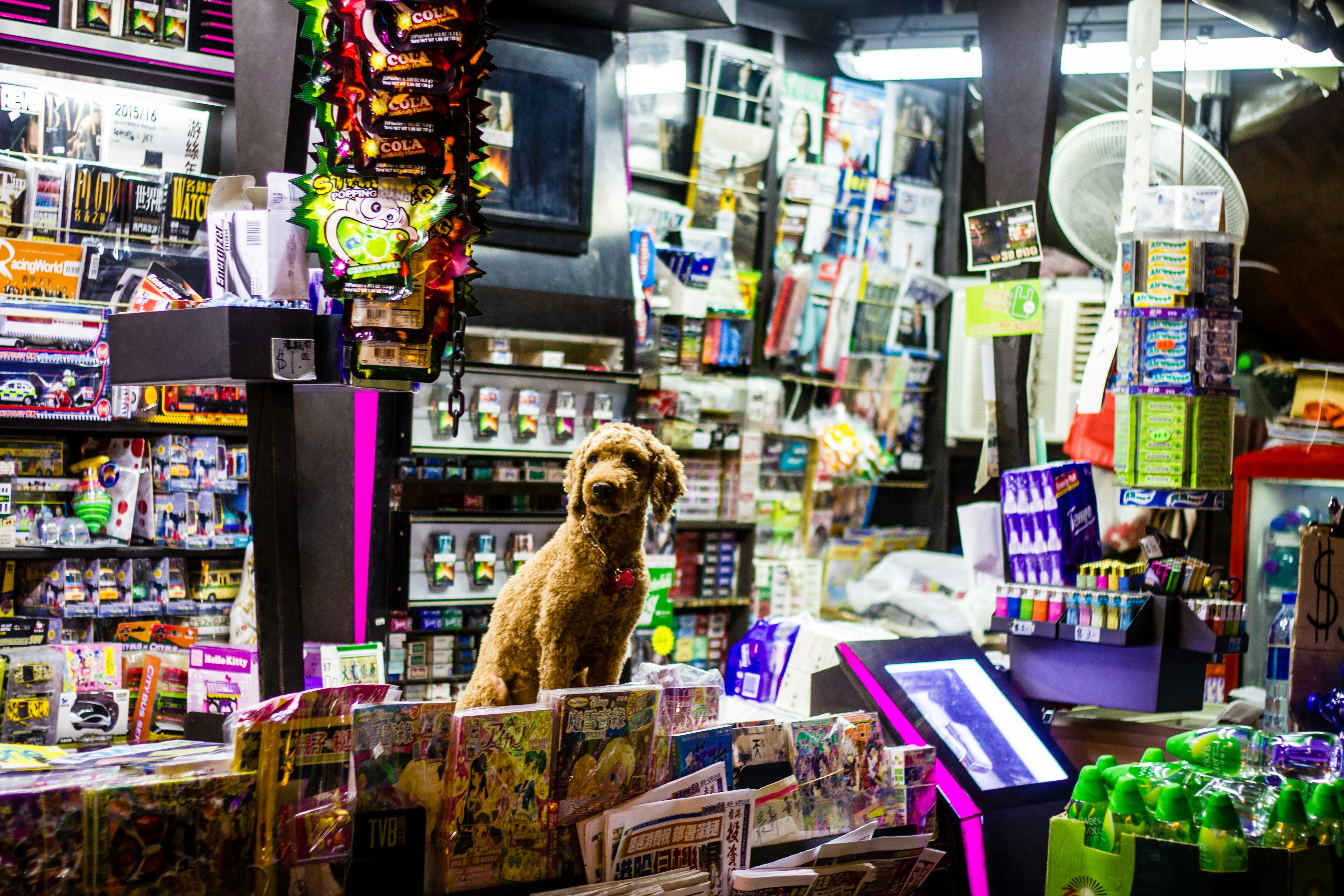 view of store interior